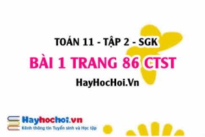 Bài 1 trang 86 Toán 11 tập 2 Chân trời sáng tạo